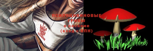 кокс Гусь-Хрустальный