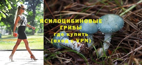 кокс Гусь-Хрустальный
