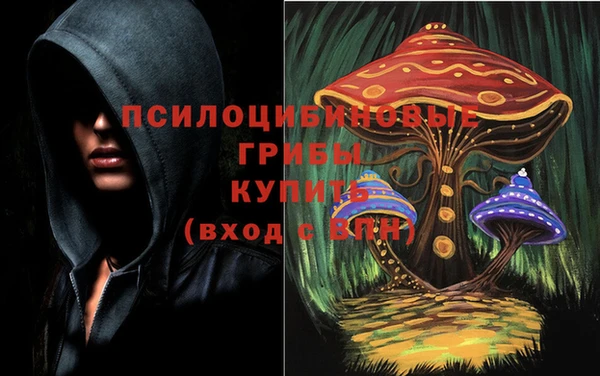 кокс Гусь-Хрустальный