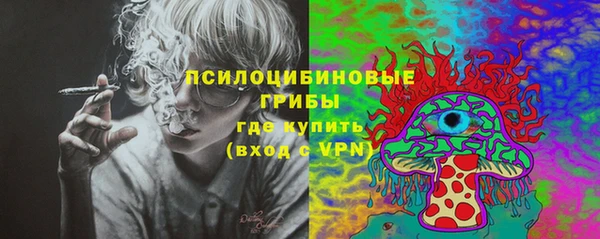 кокс Гусь-Хрустальный