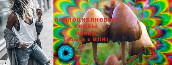 кокс Гусь-Хрустальный