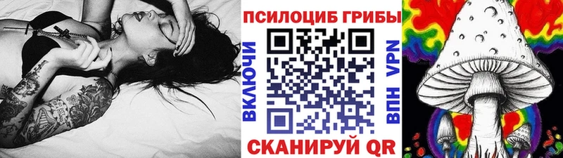 Псилоцибиновые грибы мицелий  Купить где  Лаишево 