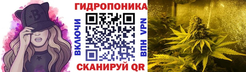 Купить где  Лаишево  Каннабис Amnesia 